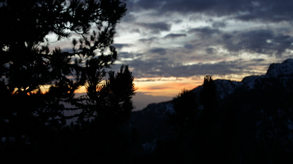 DSC03667