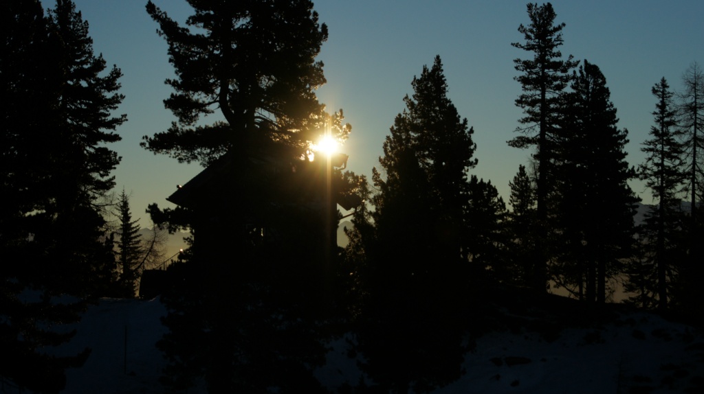 DSC03690