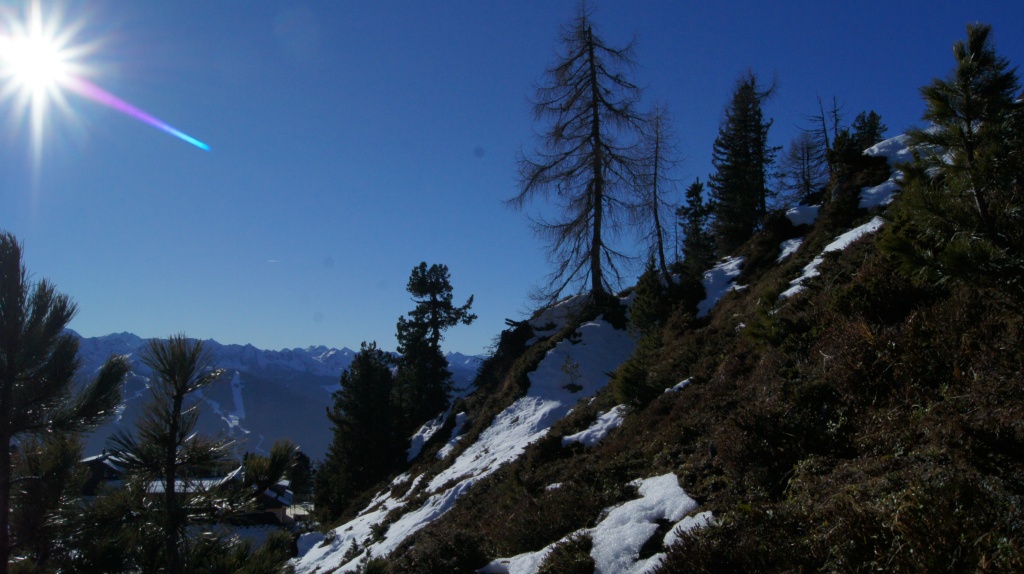 DSC03761