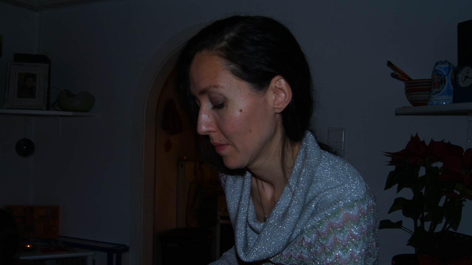 DSC04055