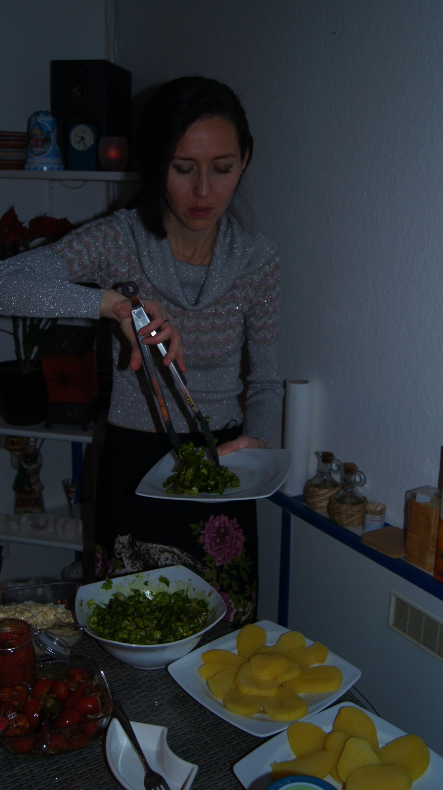DSC04059