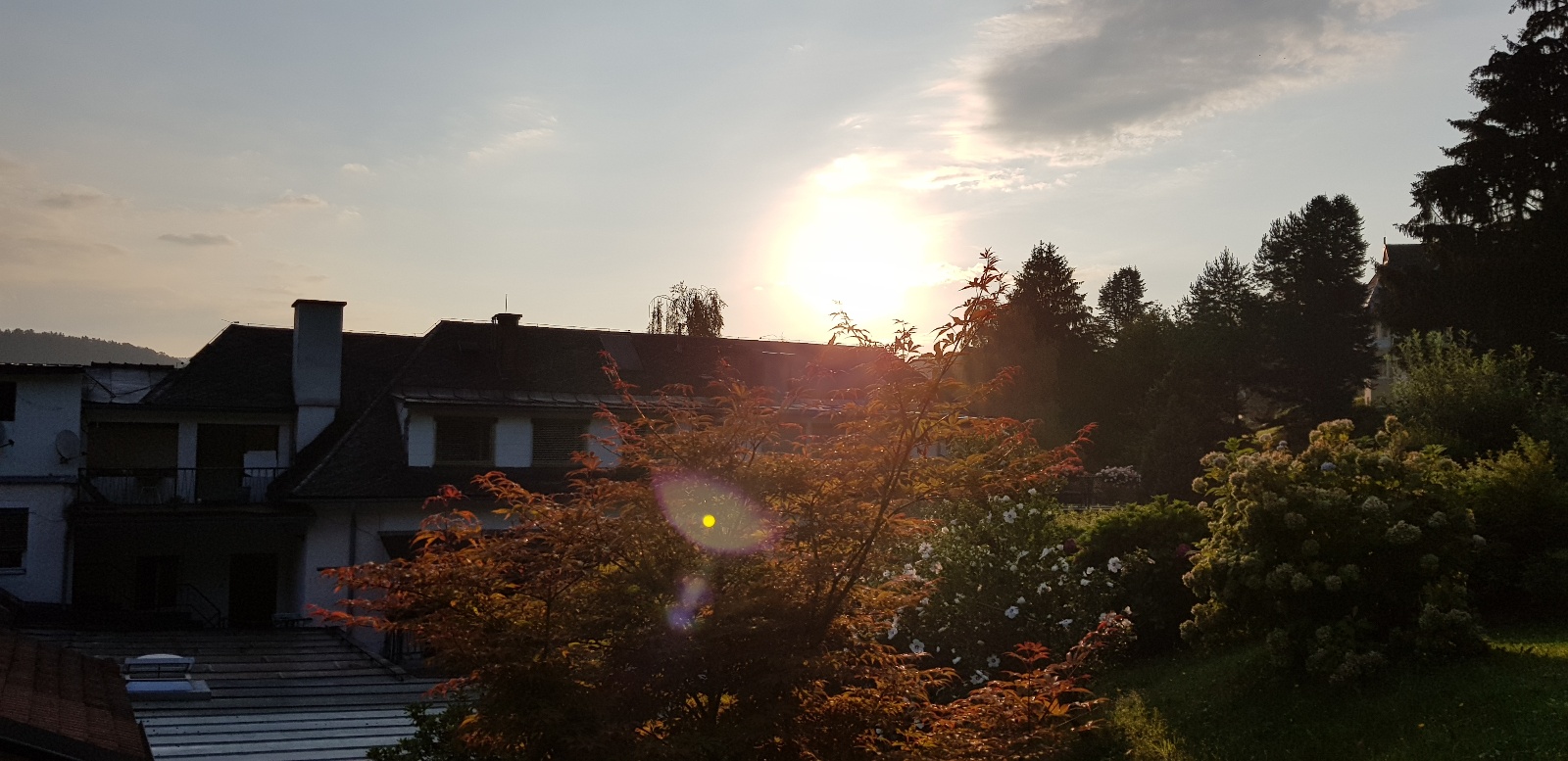 20180803 064317