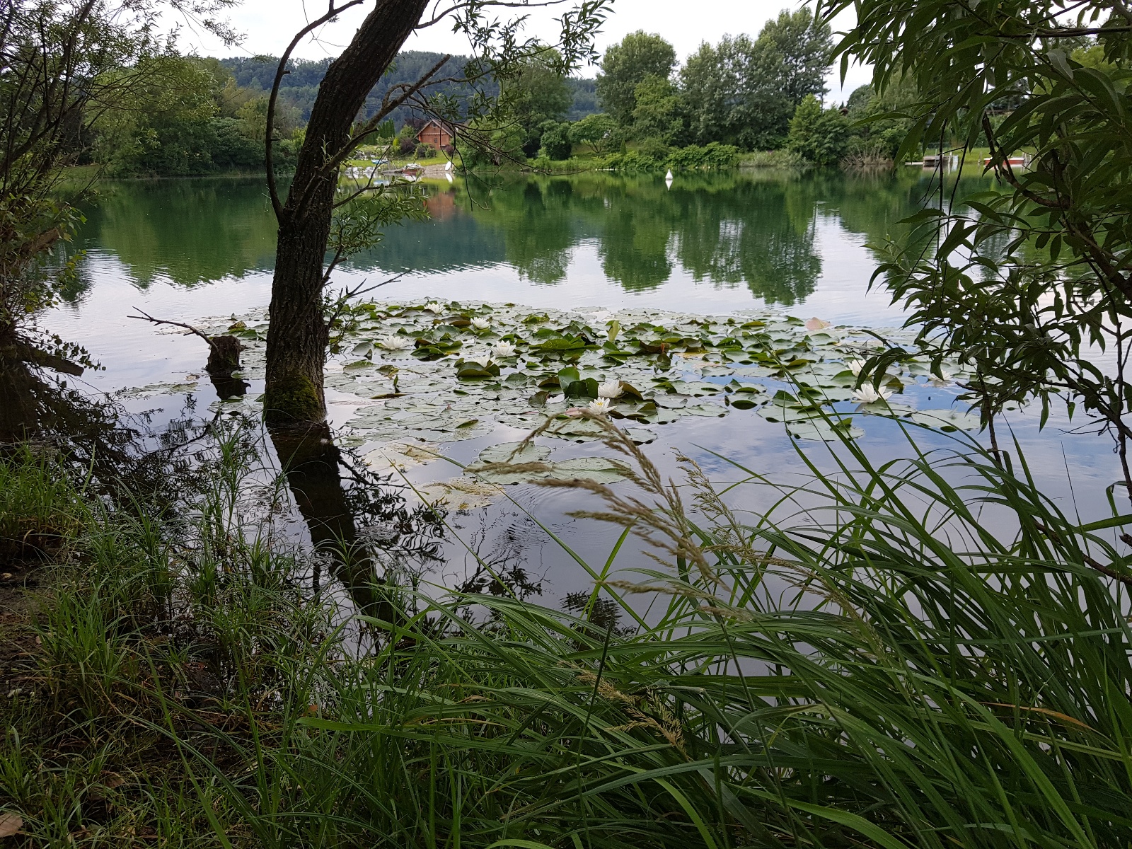 20180708 105524