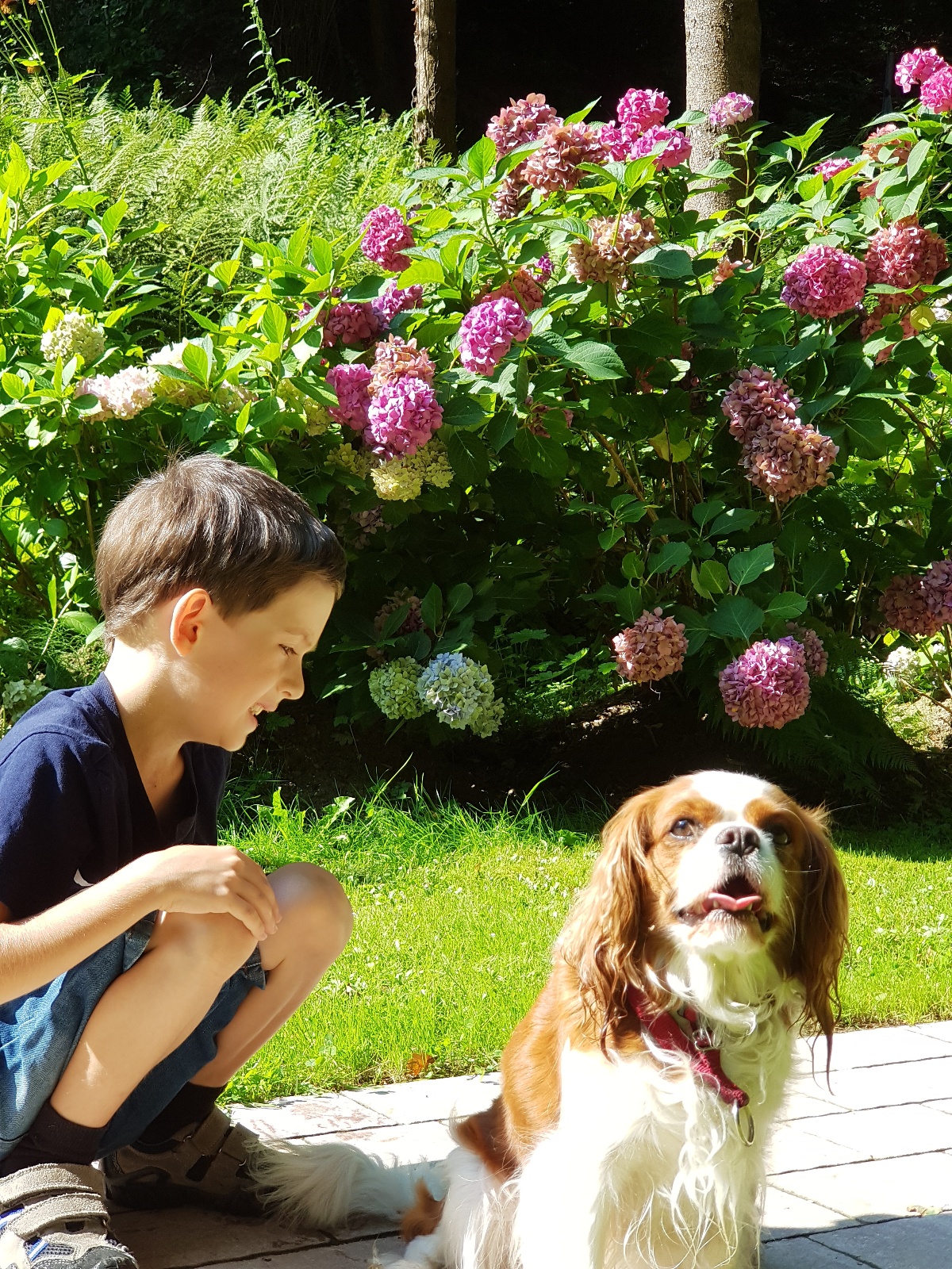 20180727 094945