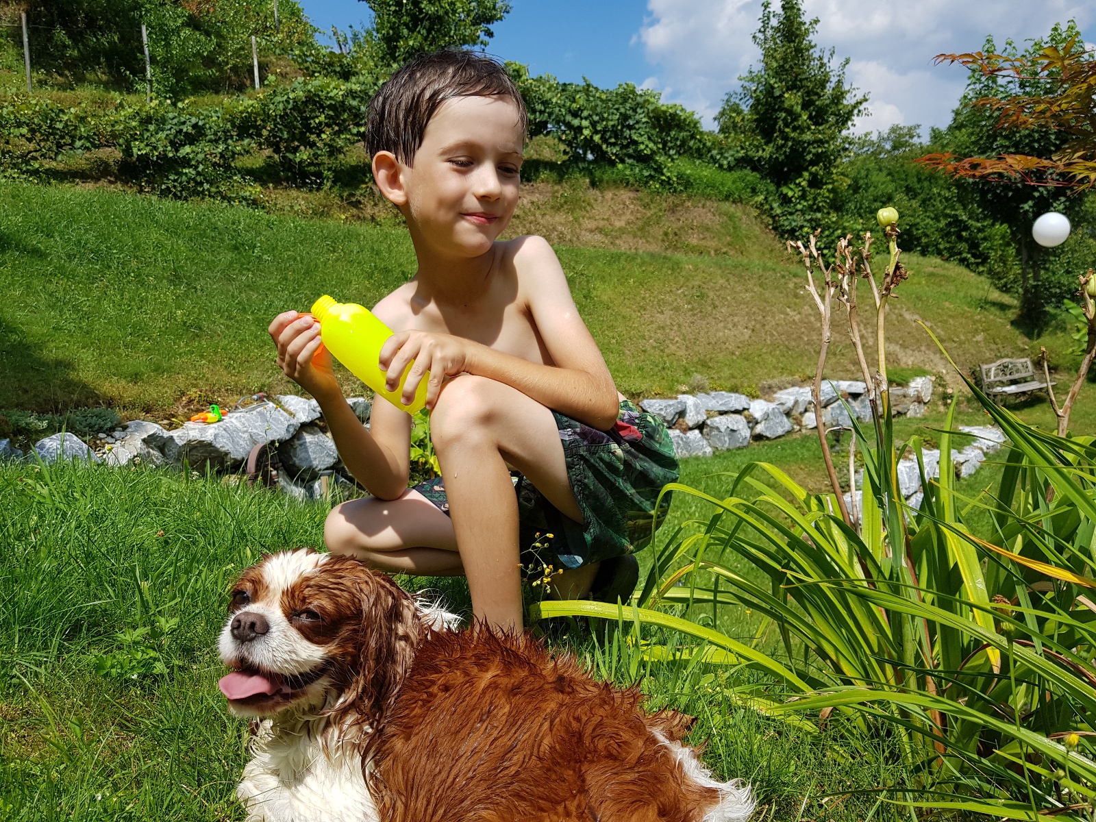 Summer Day