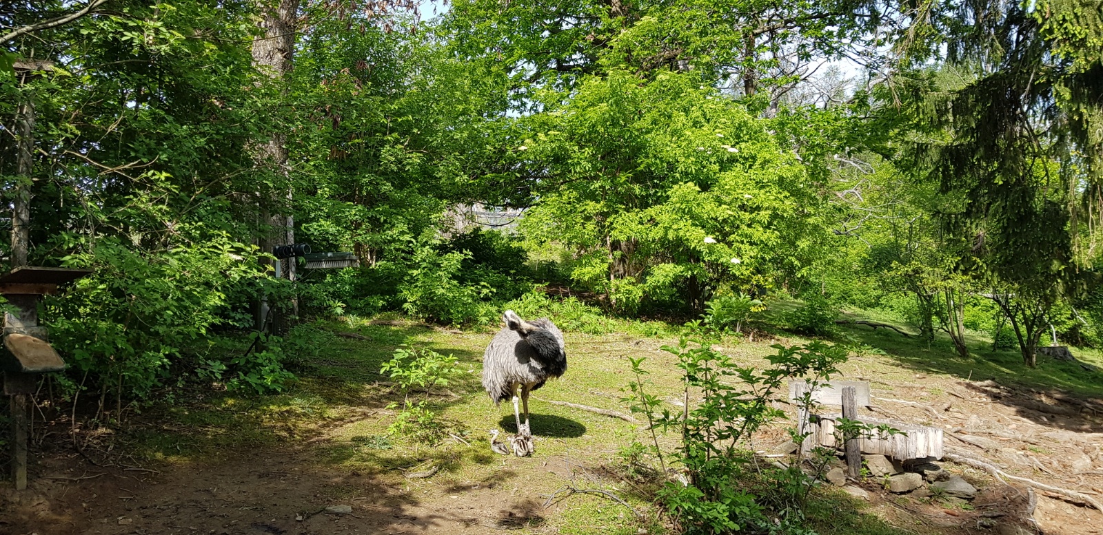 20190511 094838