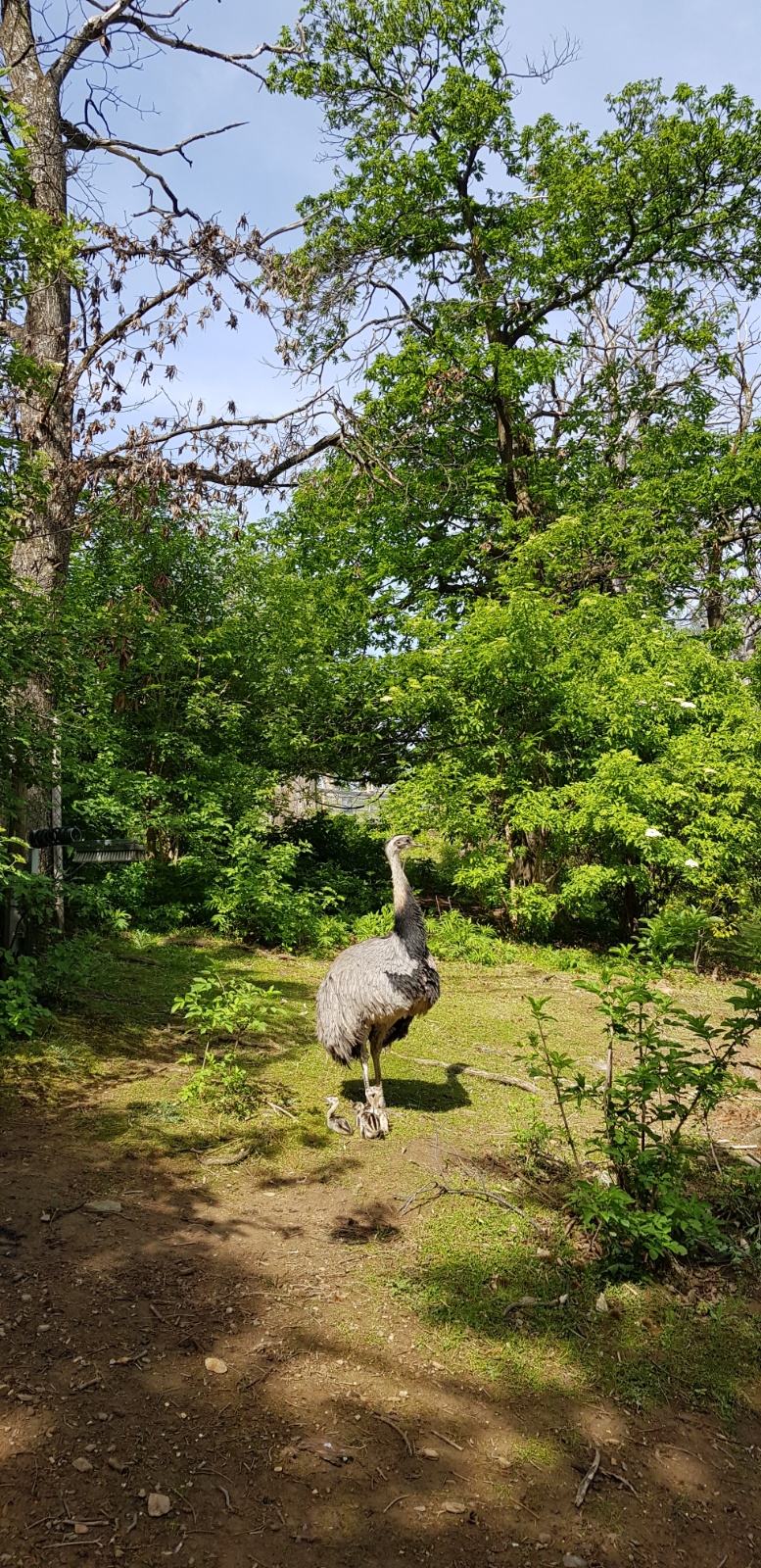 20190511 094842