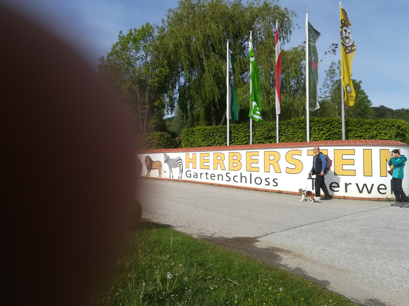 IMG 20190511 085514