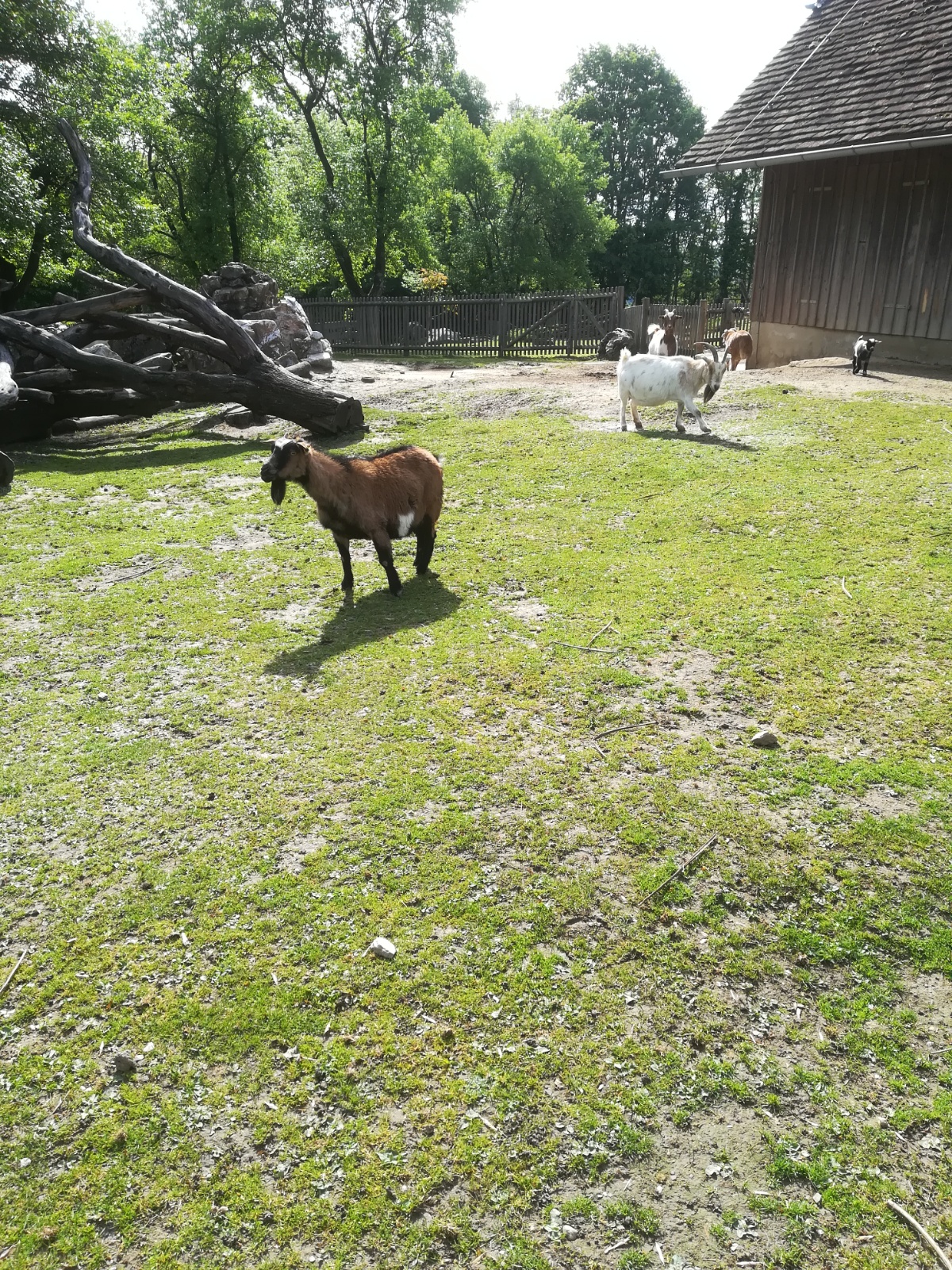 IMG 20190511 090733