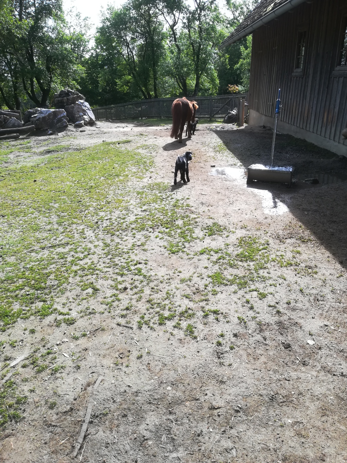 IMG 20190511 090819