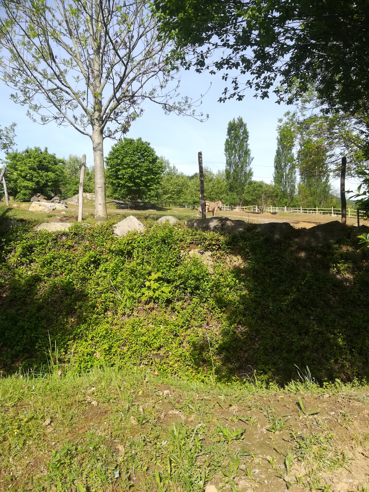IMG 20190511 091828