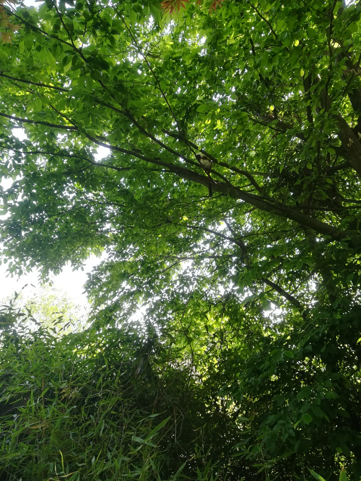 IMG 20190511 093148