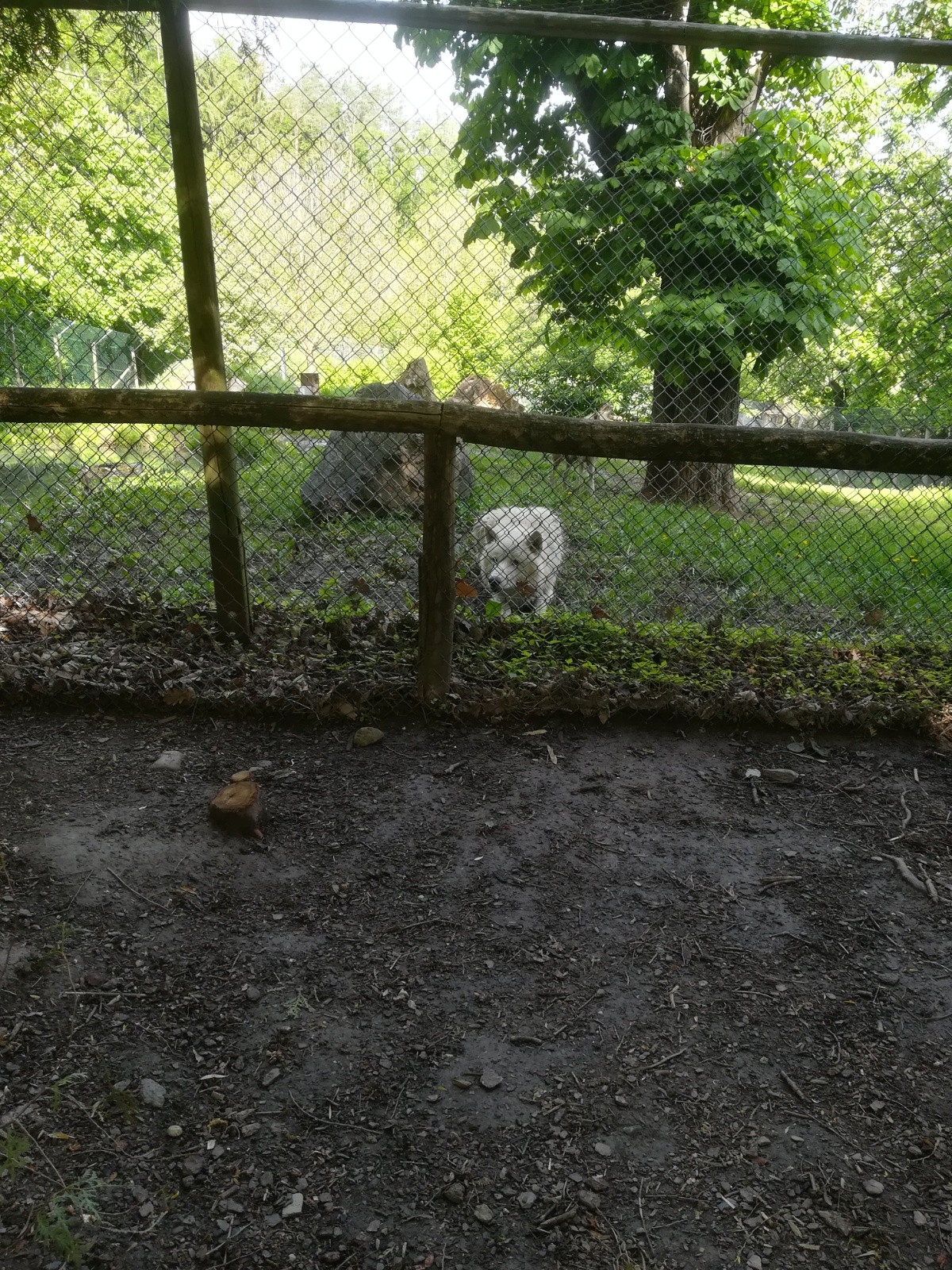 IMG 20190511 093405