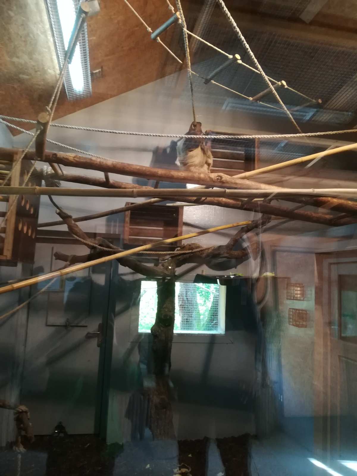 IMG 20190511 094210