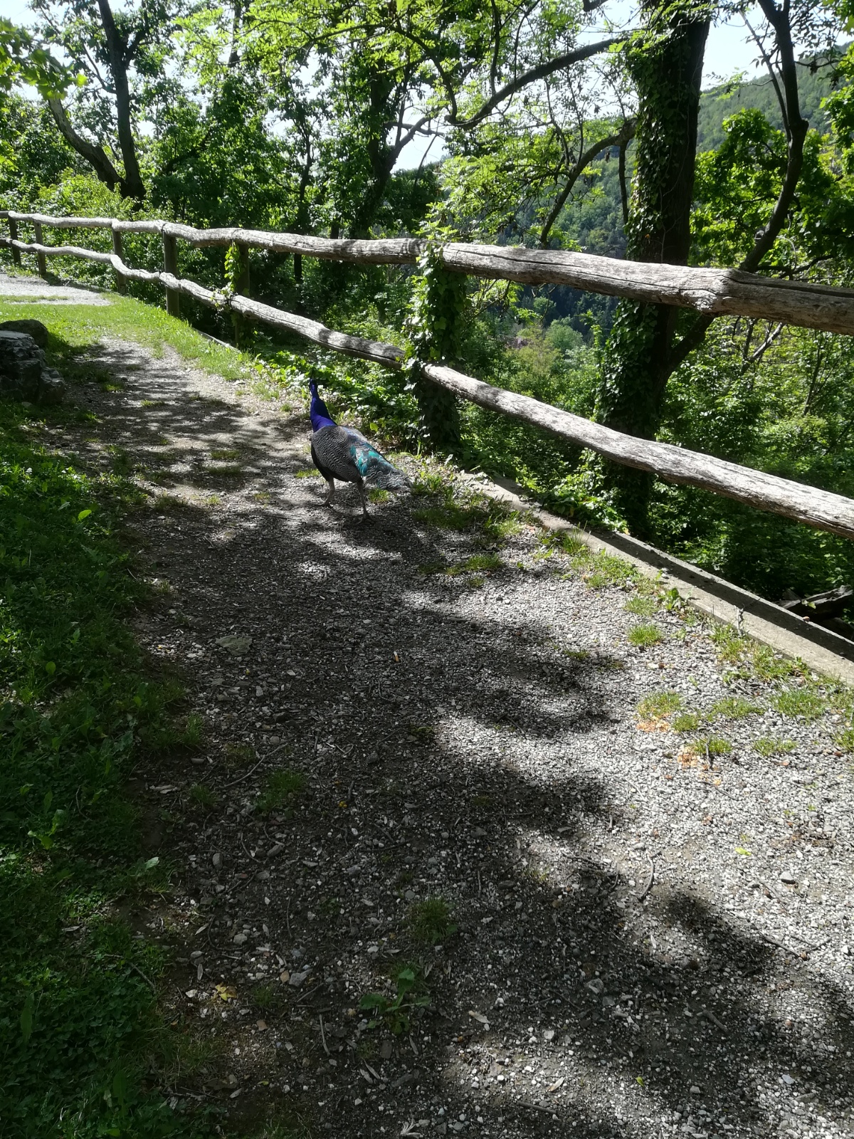 IMG 20190511 102143