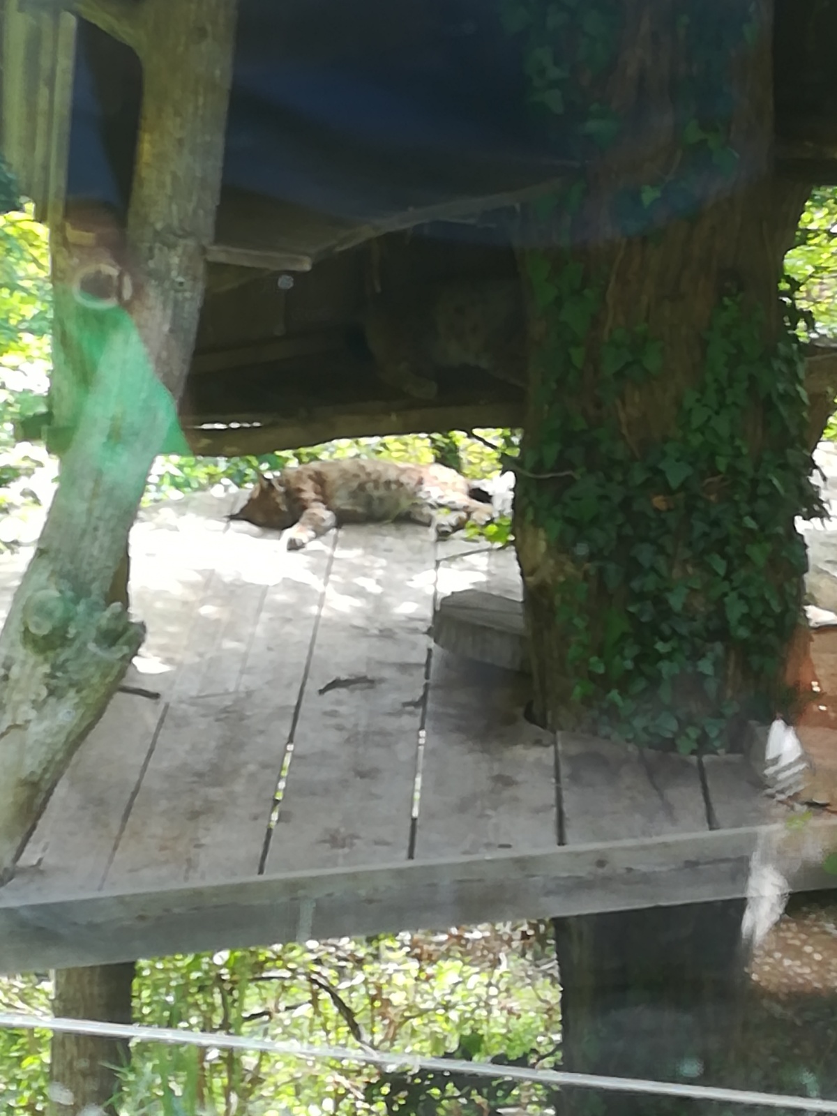 IMG 20190511 102659