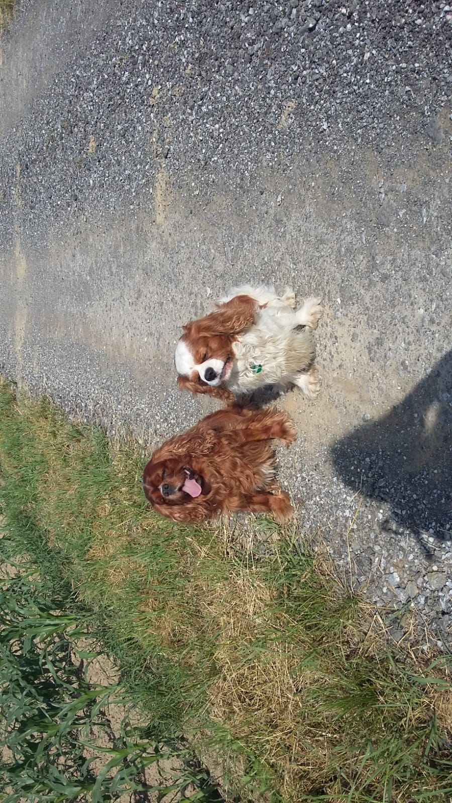 IMG 20190612 WA0000