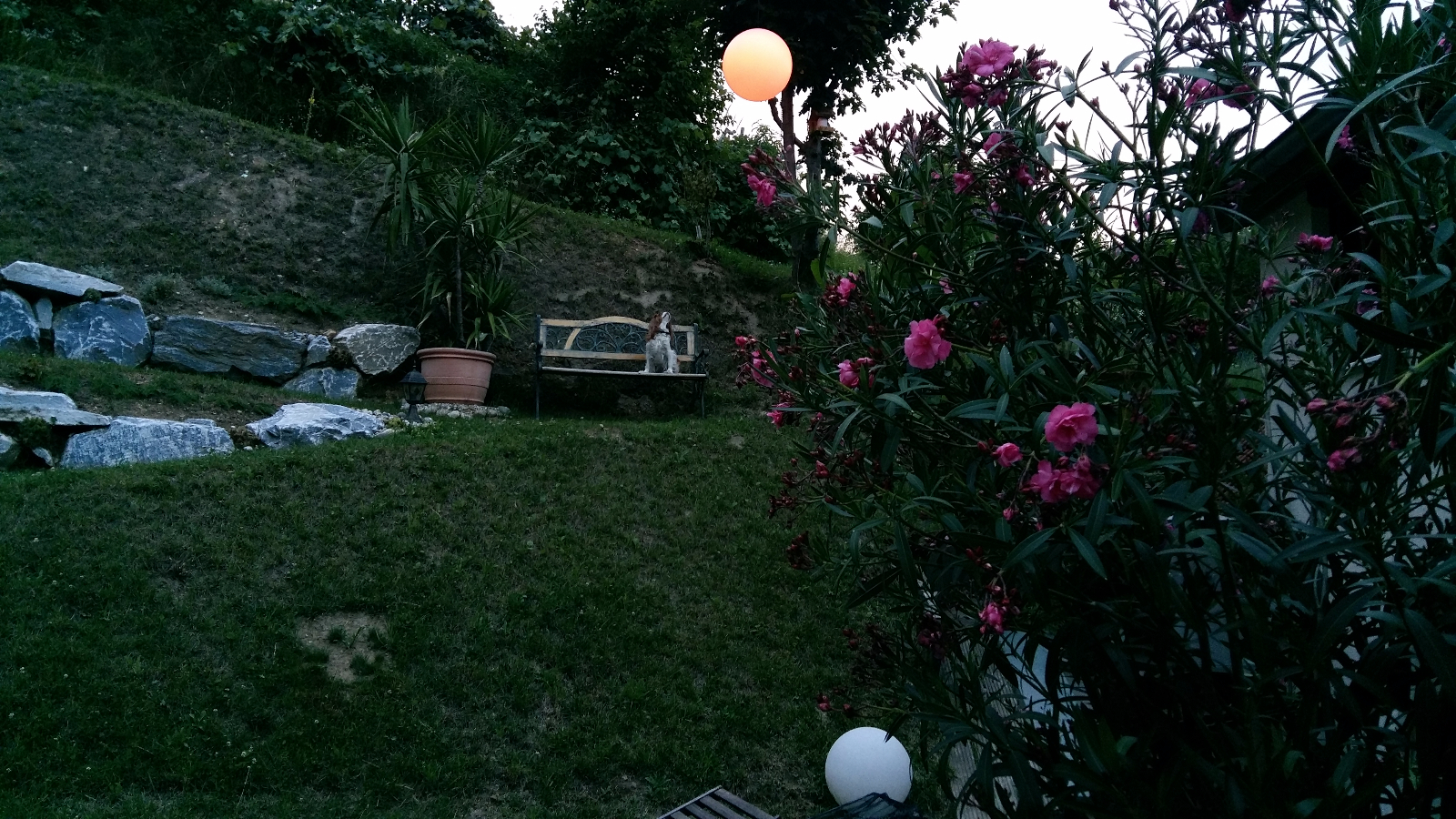 20170630 205125