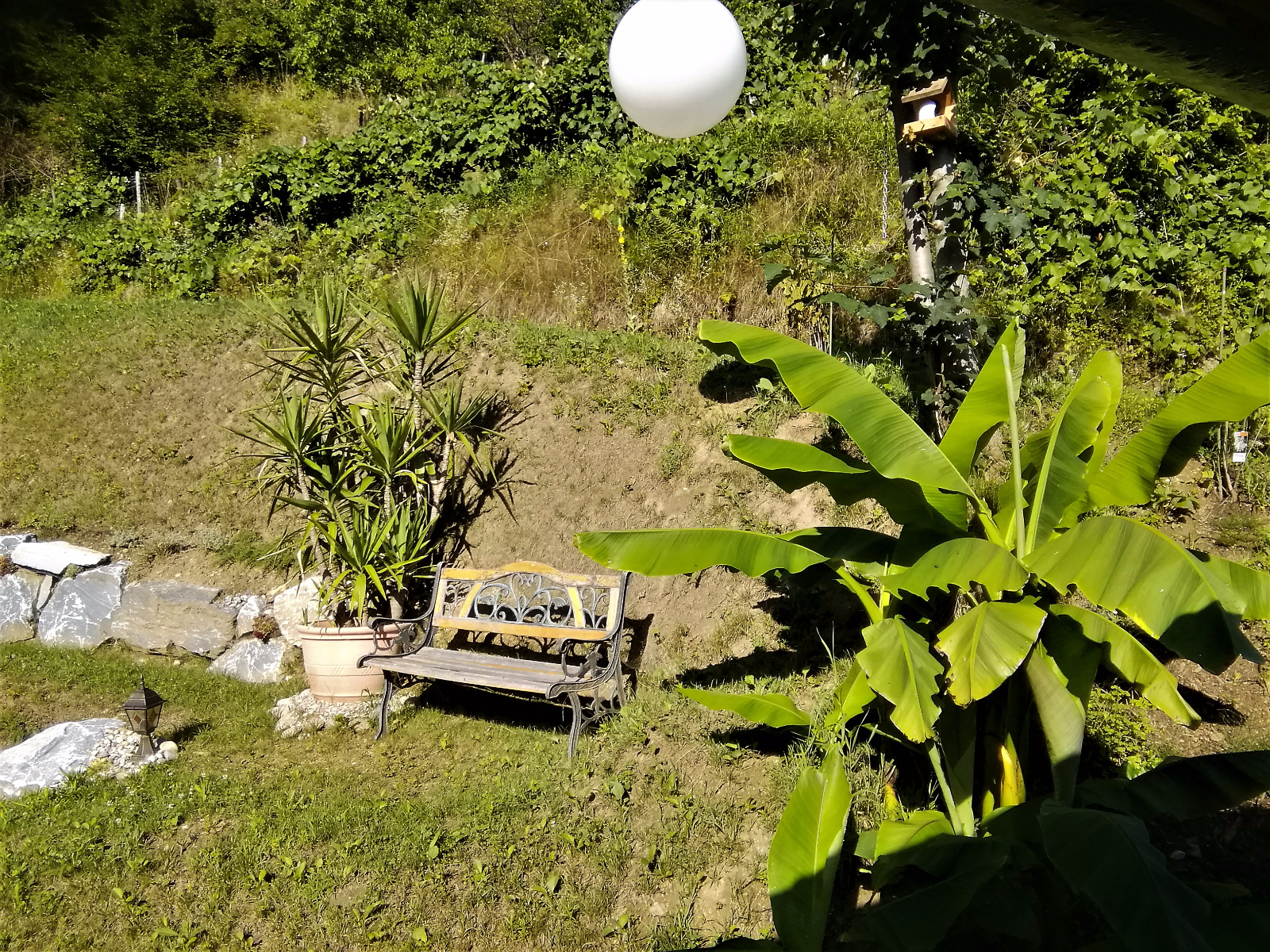 IMG 20170707 081756