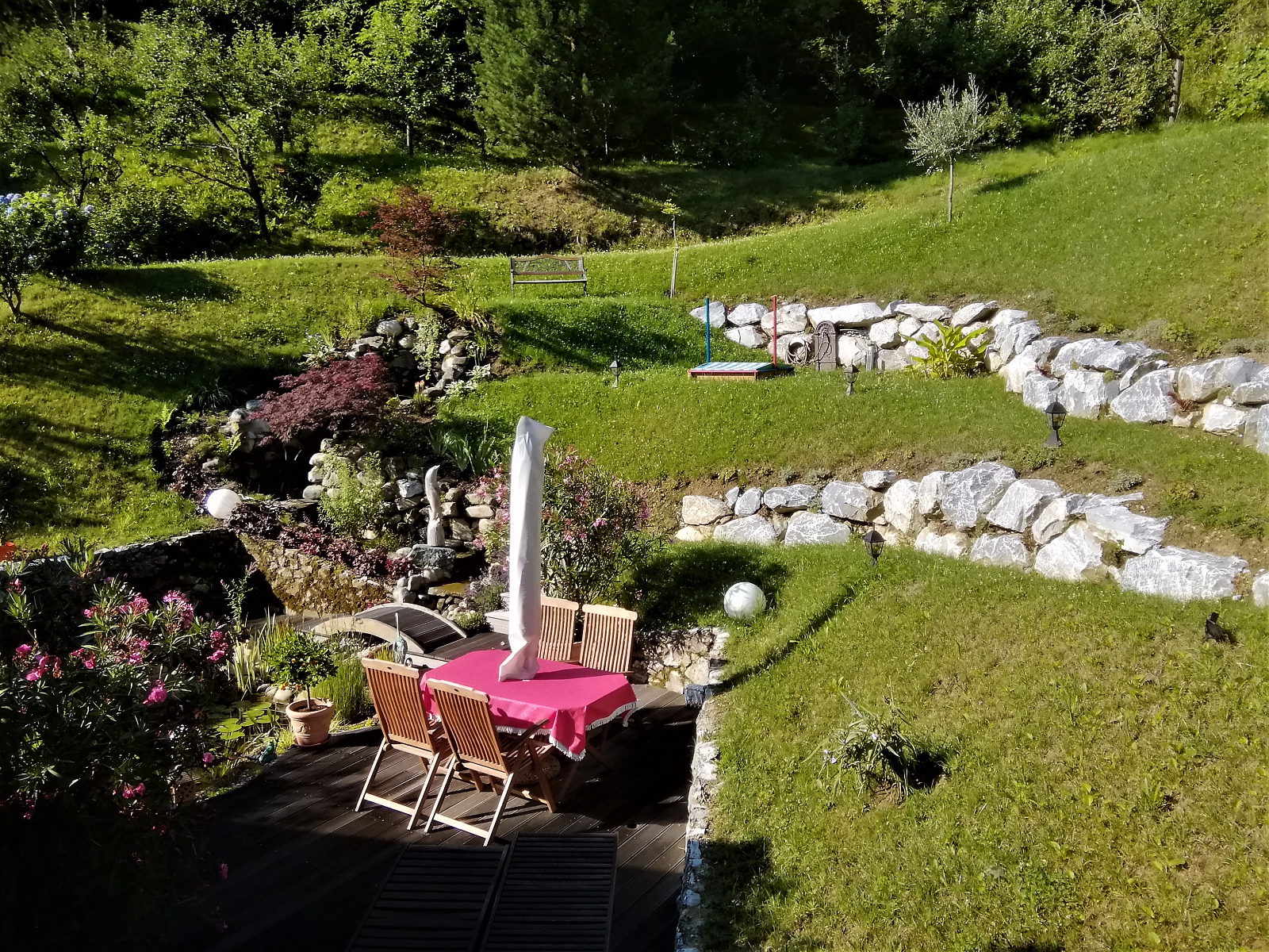 IMG 20170707 081804
