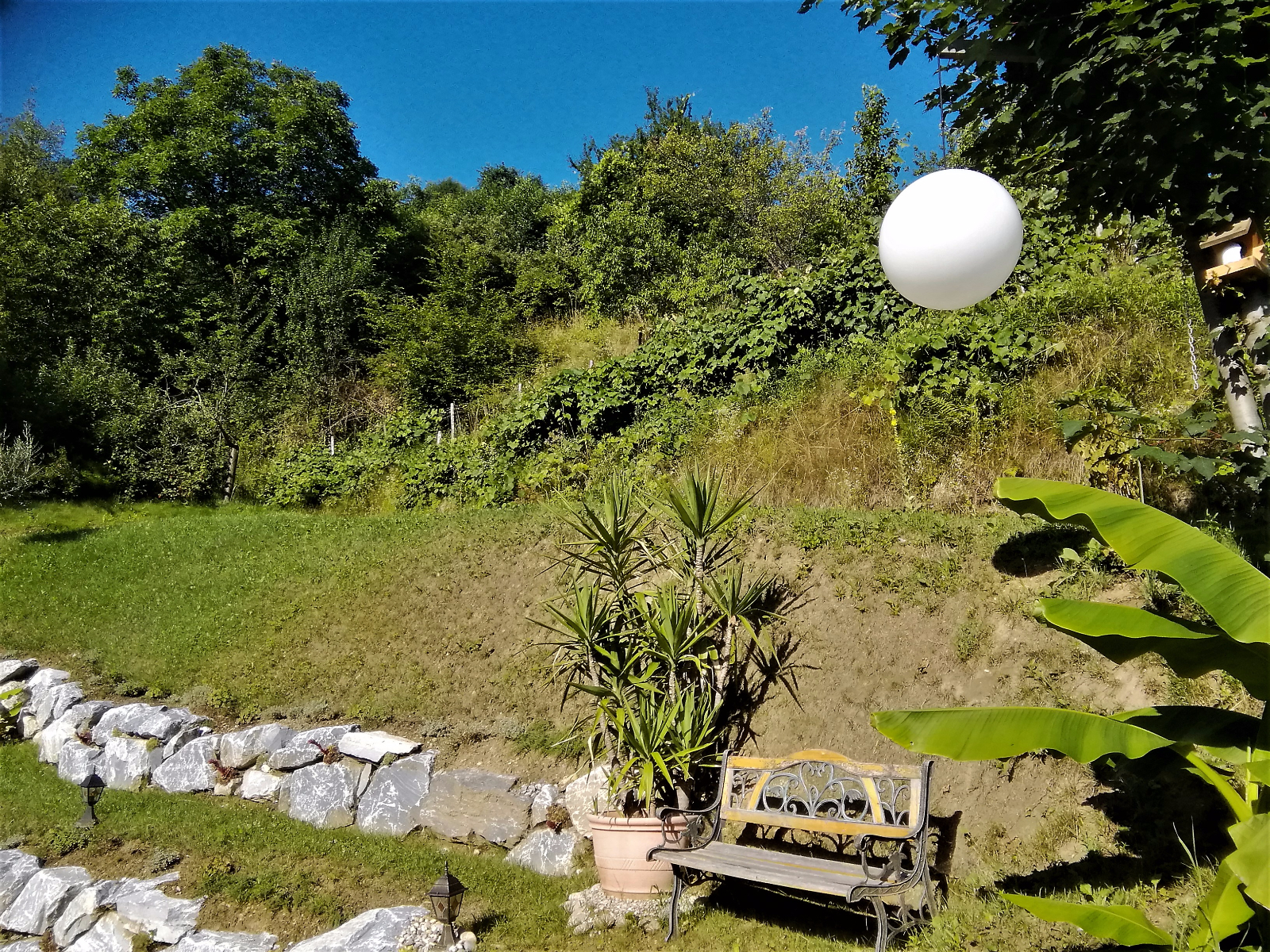 IMG 20170707 081819